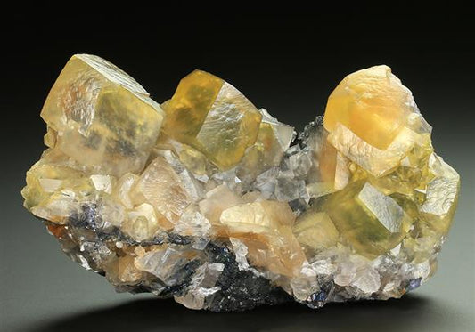 CC5236 specimen image