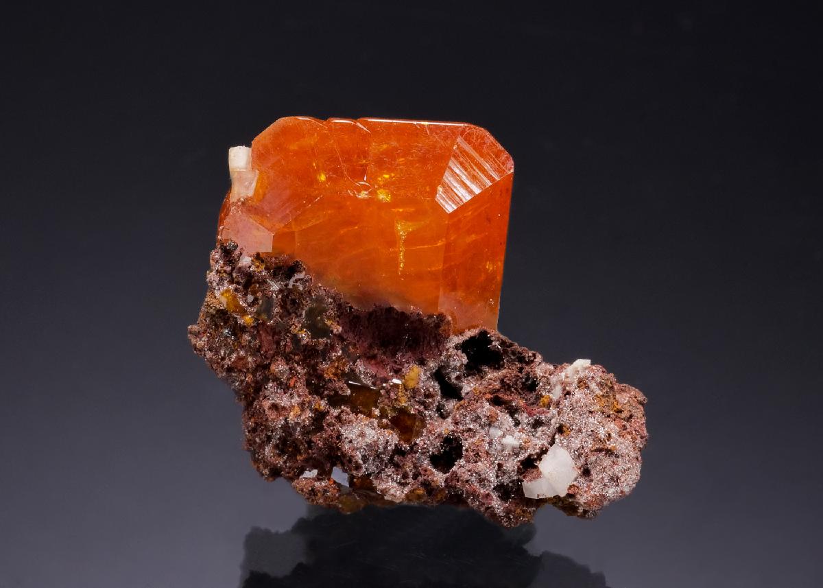 CC52366 specimen image