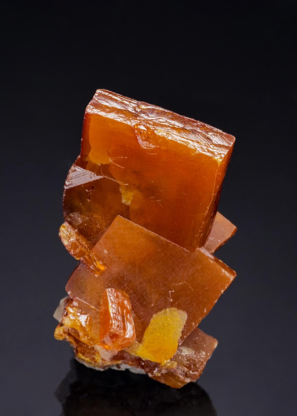 CC52370 specimen image