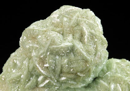 CC5238 specimen image