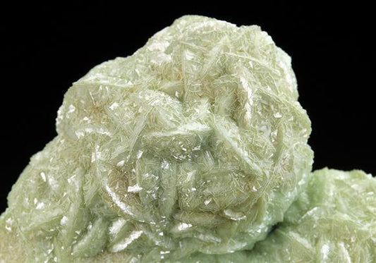 CC5238 specimen image