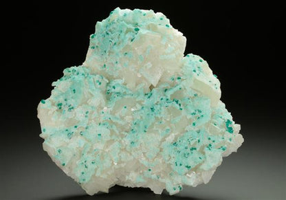 CC5239 specimen image