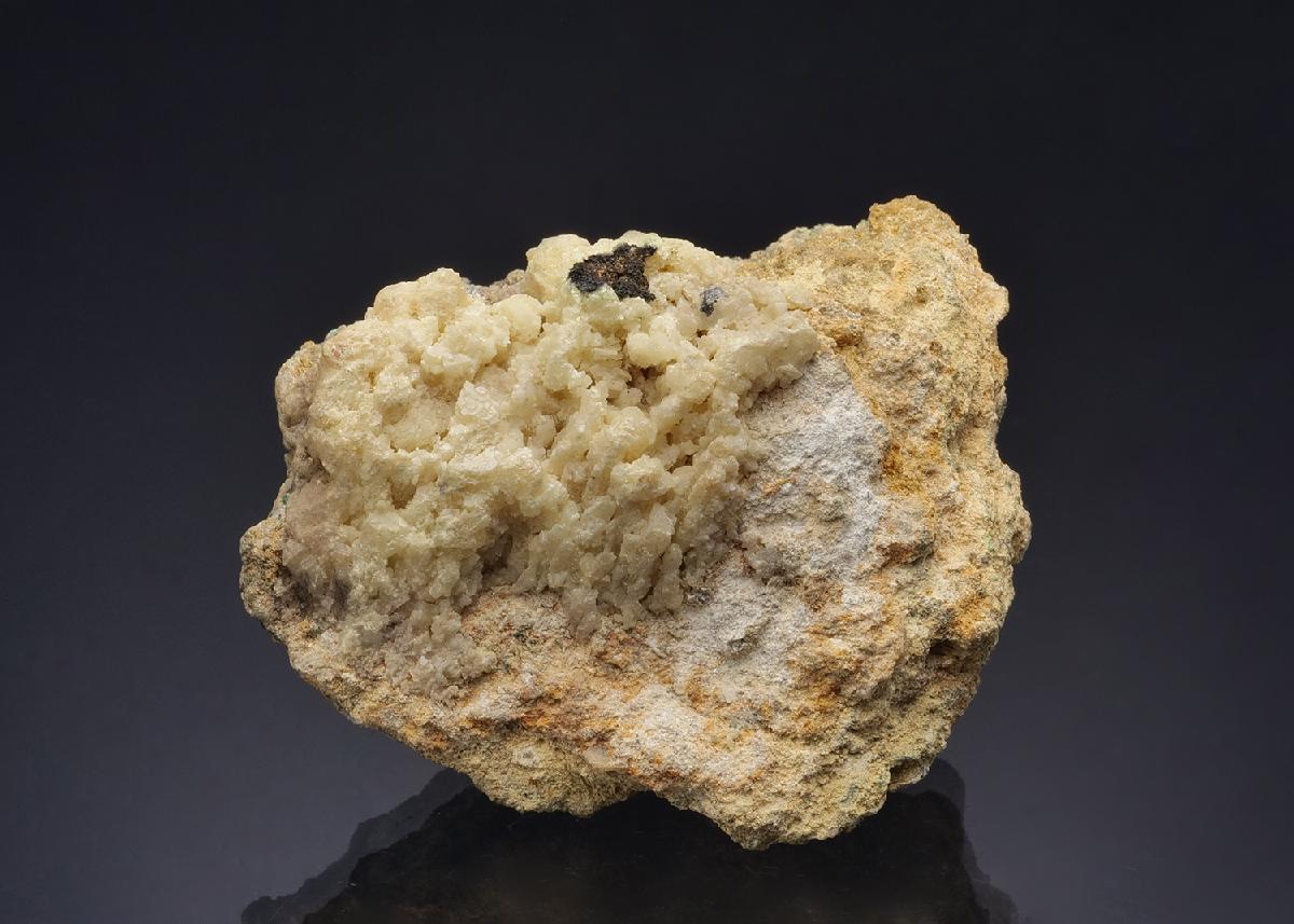 CC52394 specimen image