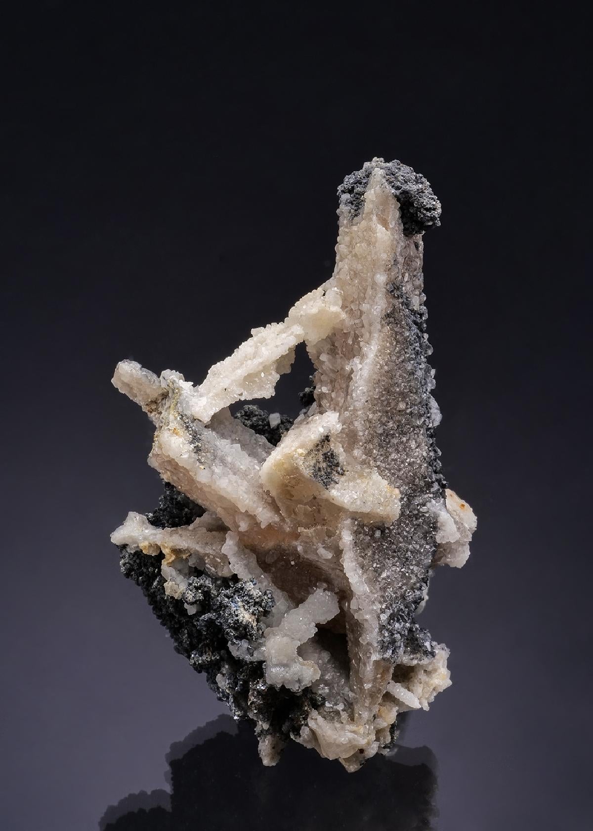 CC52396 specimen image