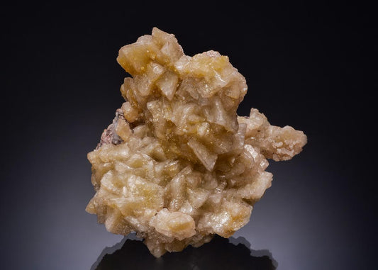 CC52438 specimen image