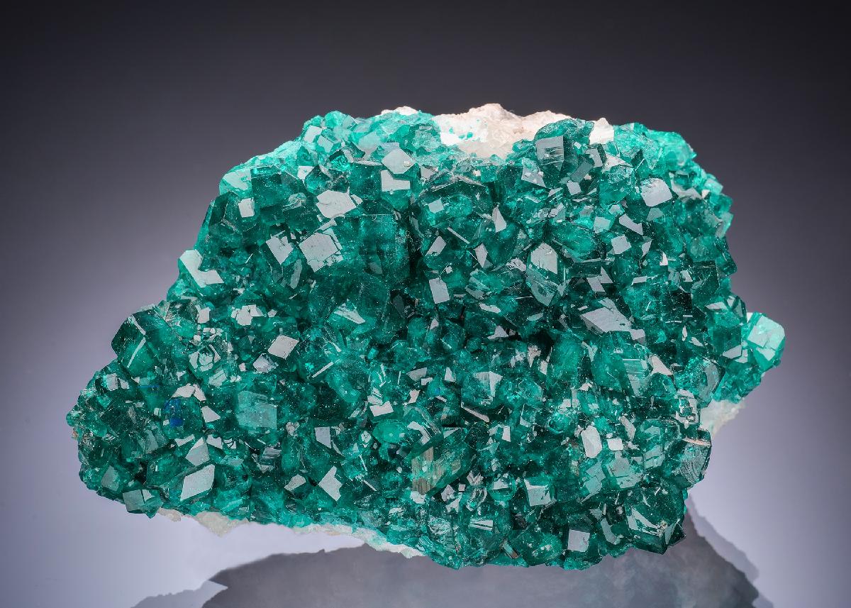 CC52508 specimen image