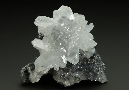 CC5253 specimen image