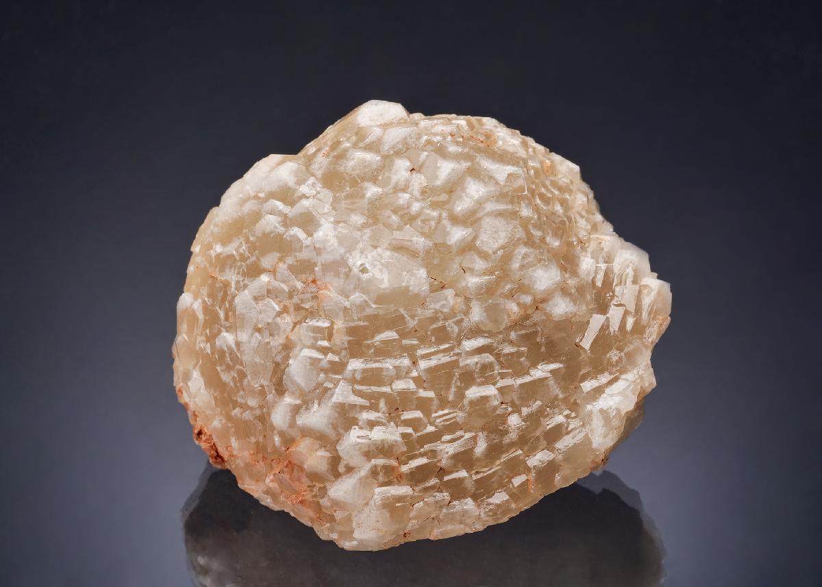 CC52562 specimen image