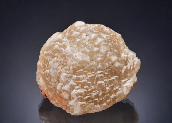 CC52562 specimen image