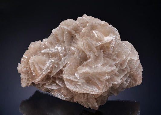 CC52586 specimen image