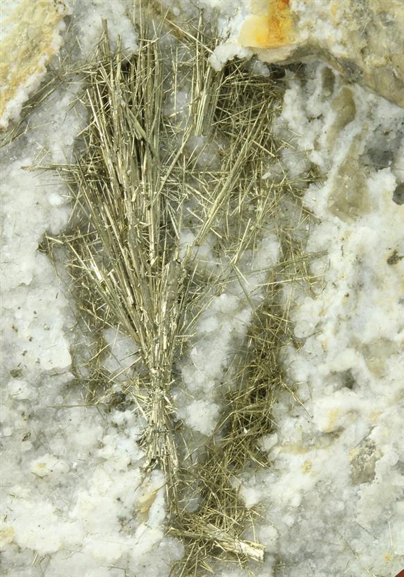 CC5259 specimen image