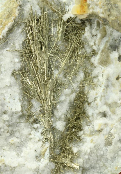 CC5259 specimen image