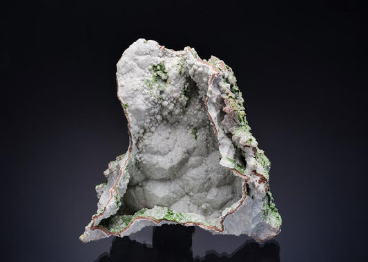 CC52590 specimen image