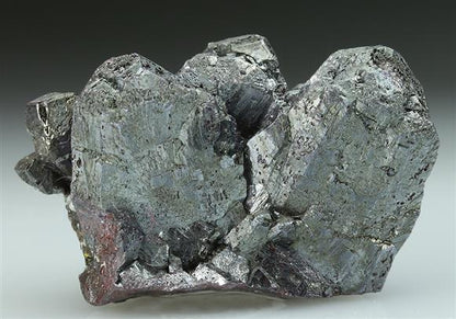 CC5260 specimen image