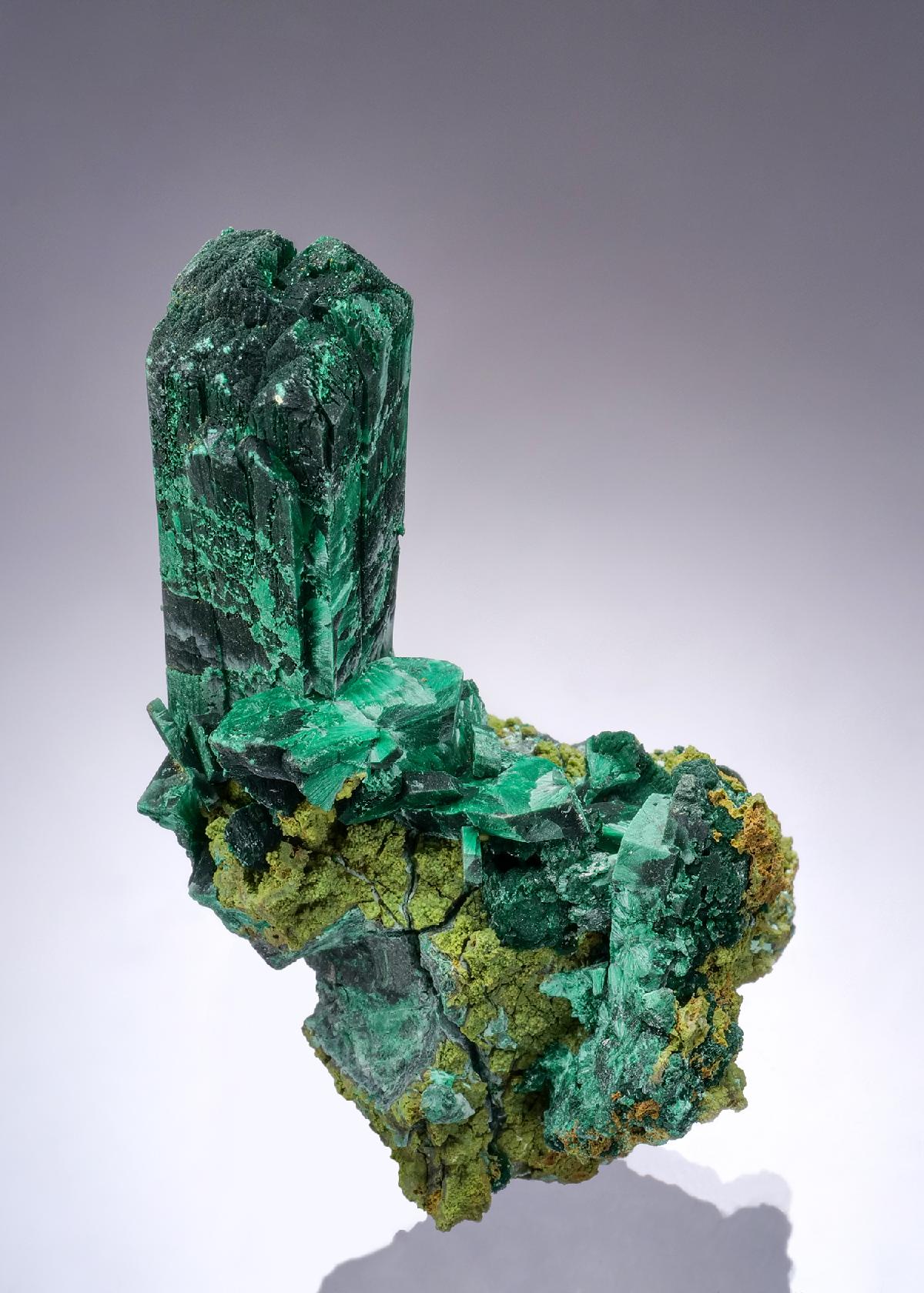 CC52606 specimen image