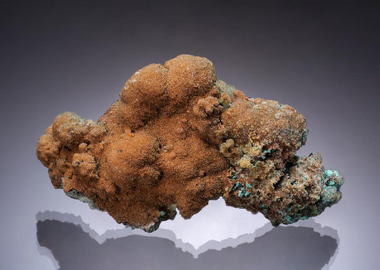 CC52610 specimen image