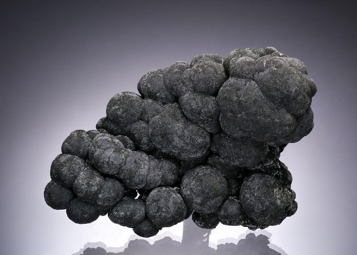 CC52654 specimen image