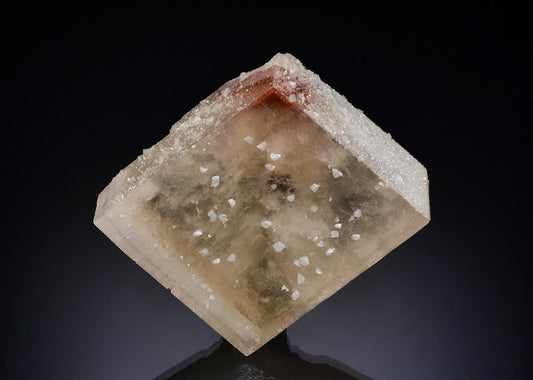CC52672 specimen image