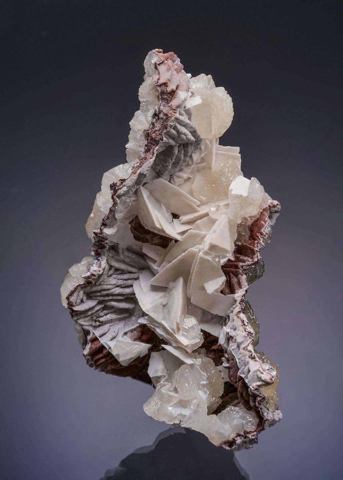 CC52692 specimen image