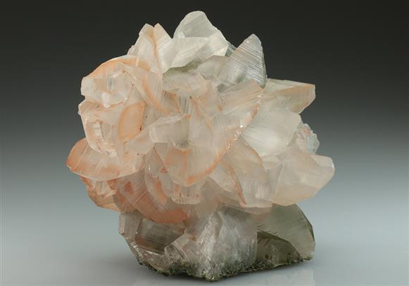 CC5270 specimen image
