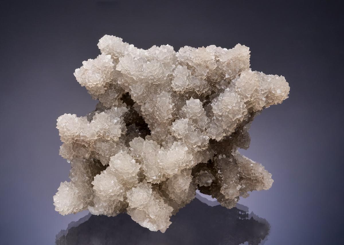 CC52706 specimen image