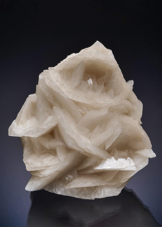 CC52714 specimen image