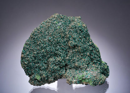 CC52732 specimen image