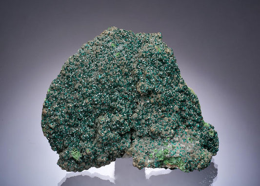 CC52732 specimen image