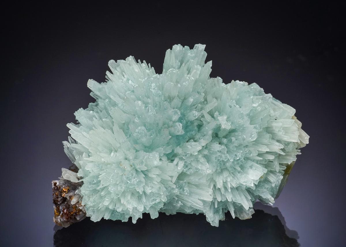 CC52742 specimen image