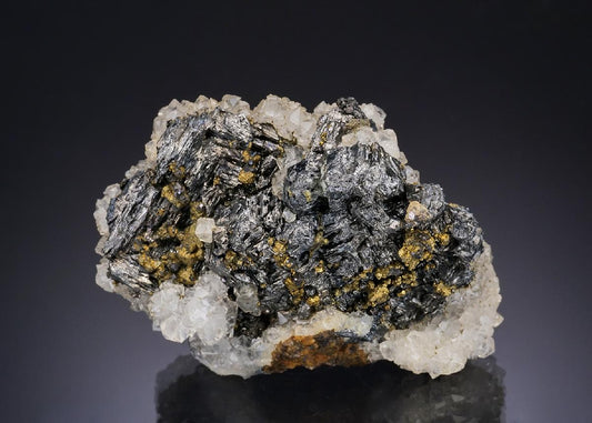 CC52762 specimen image