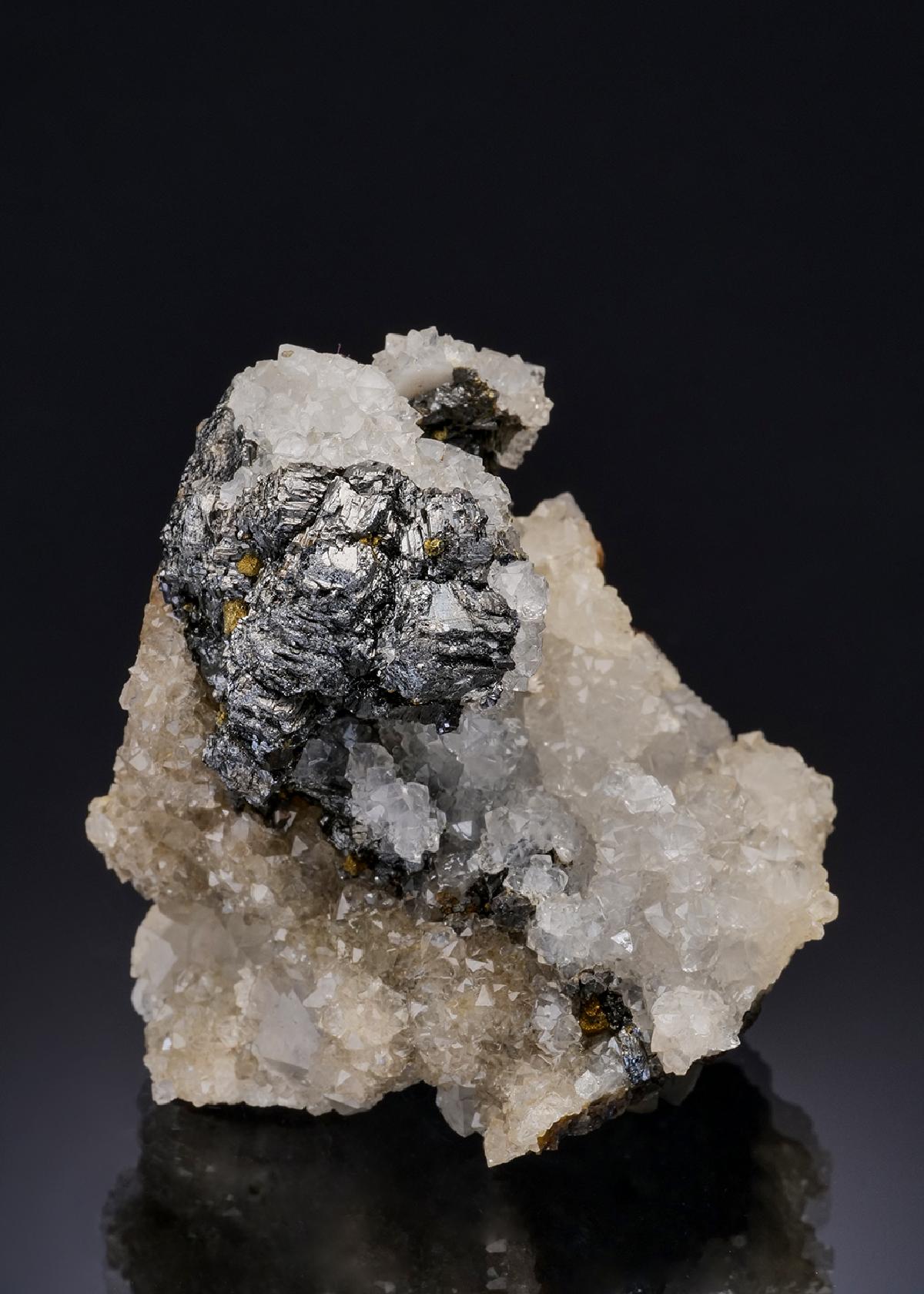 CC52764 specimen image