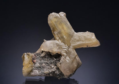 CC52788 specimen image