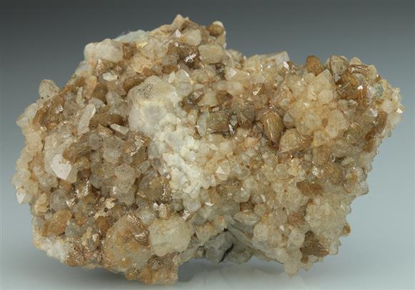 CC5281 specimen image
