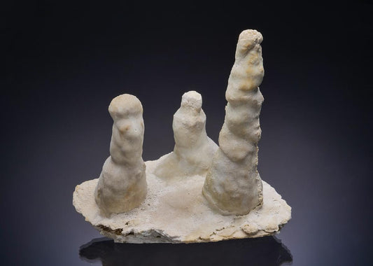 CC52840 specimen image