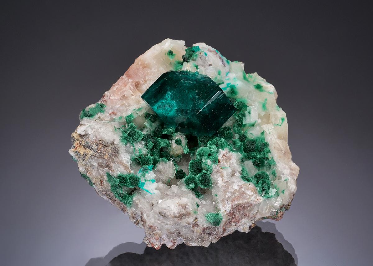 CC52870 specimen image