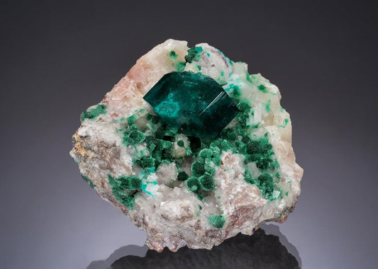 CC52870 specimen image