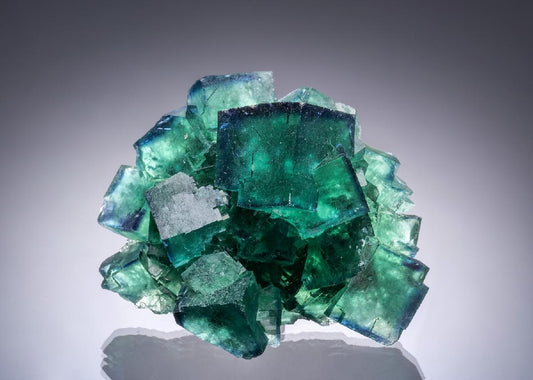 CC52894 specimen image