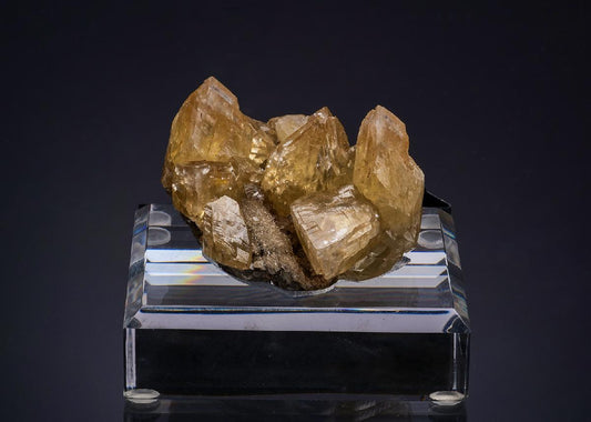 CC52940 specimen image