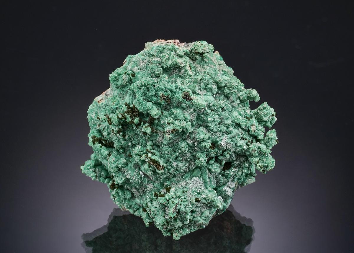 CC52950 specimen image