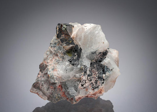 CC5312 specimen image