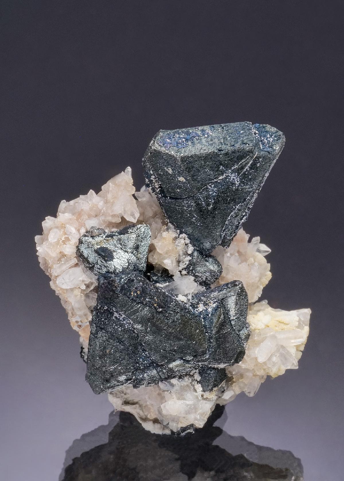 CC53186 specimen image