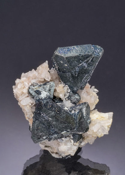 CC53186 specimen image