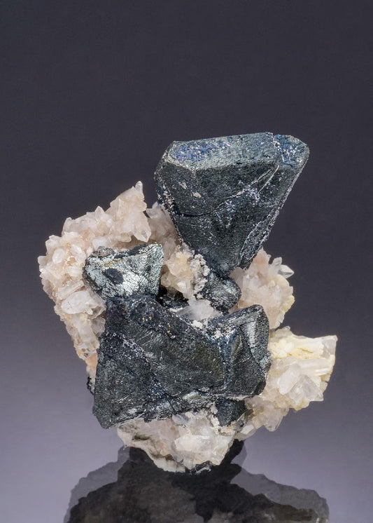 CC53186 specimen image
