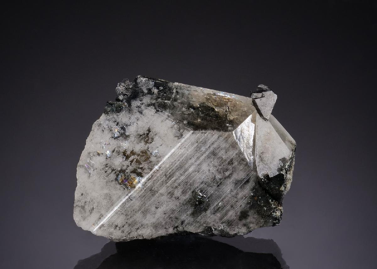 CC53202 specimen image