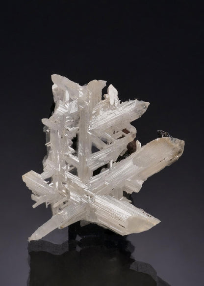 CC53210 specimen image