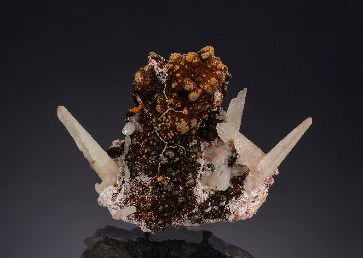 CC53212 specimen image
