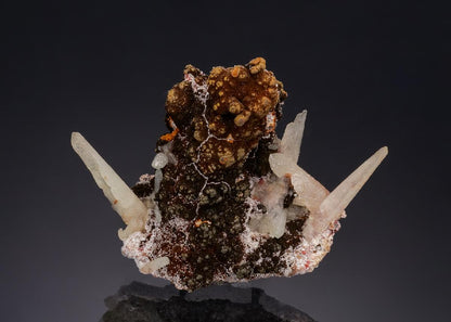 CC53212 specimen image