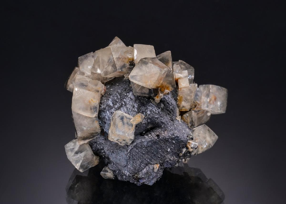 CC53218 specimen image