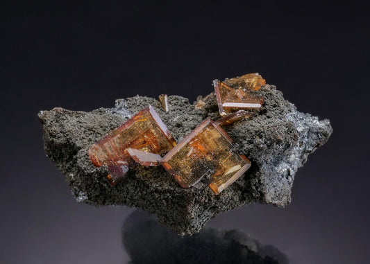 CC53230 specimen image