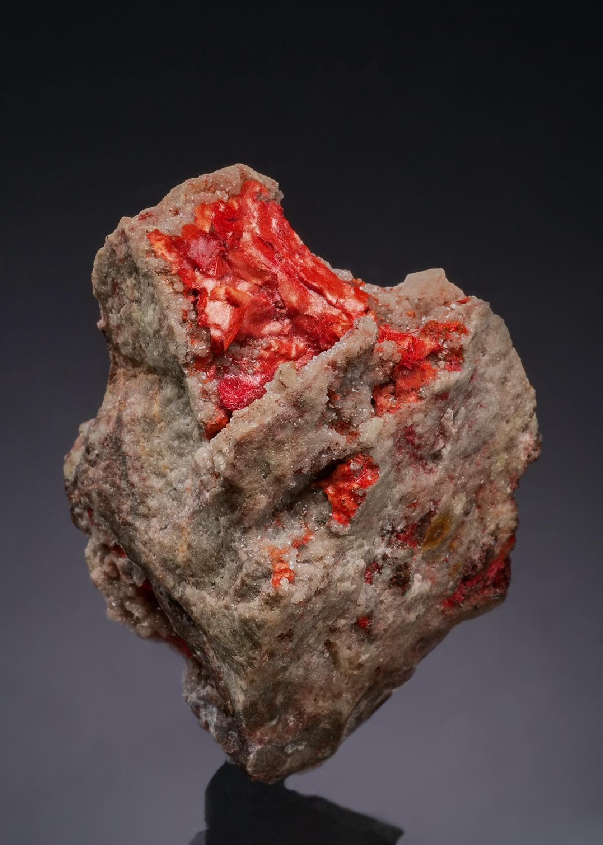 CC53234 specimen image